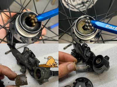 298759173_354971523512905_417001054742783216_n