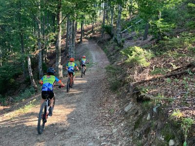 301918264_365802649096459_4430372418570631018_n